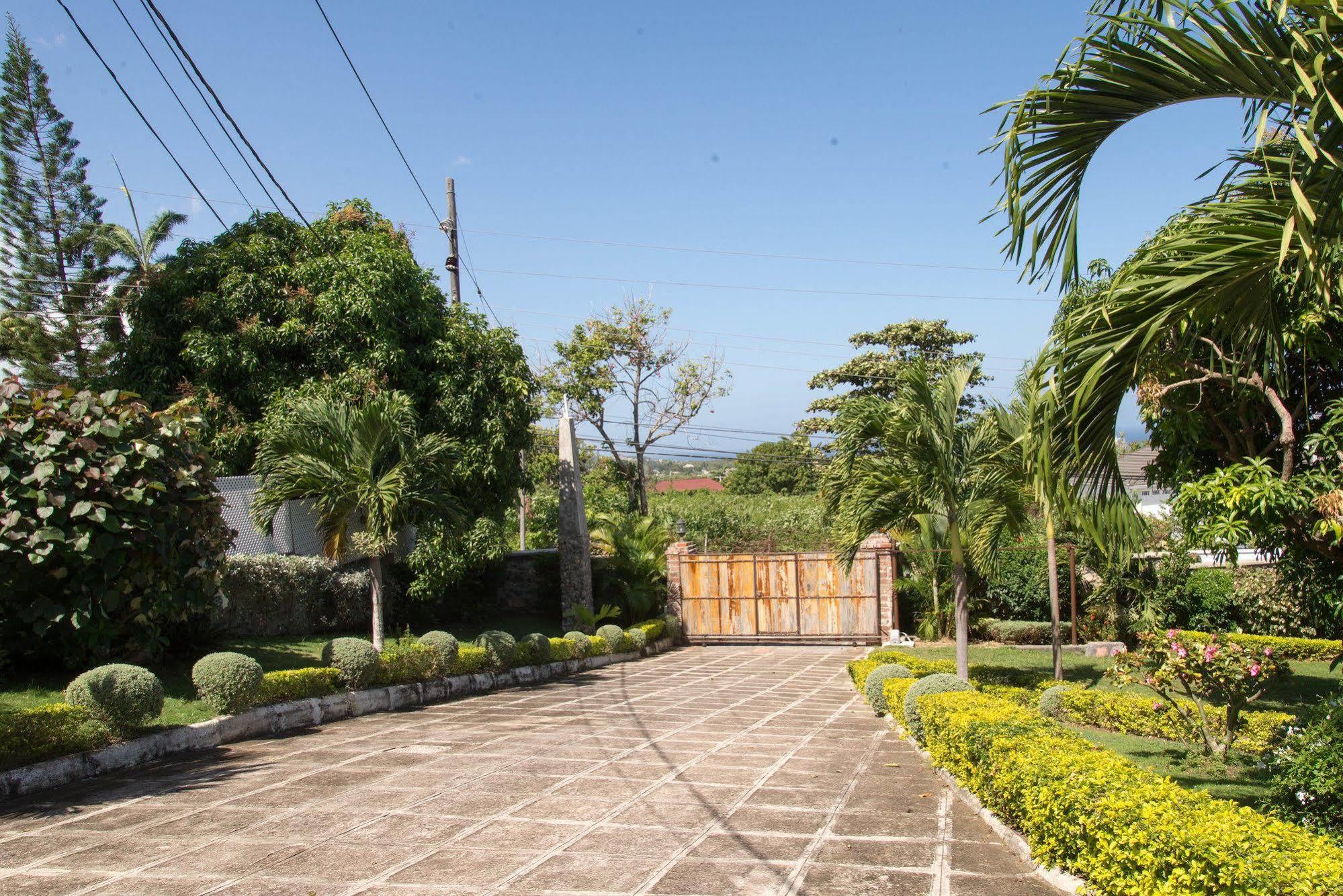 Hatfield South Villa モンテゴ・ベイ エクステリア 写真
